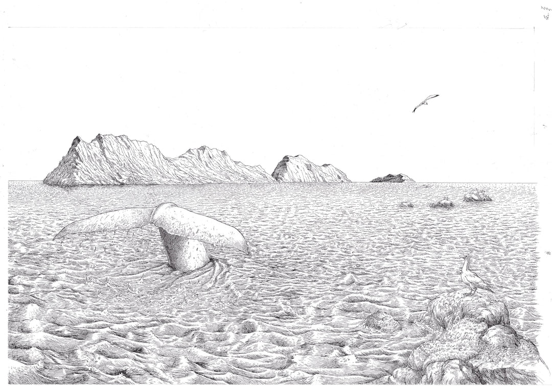 Elie Huault - Fjords - Double page intérieure Reliefs n°16