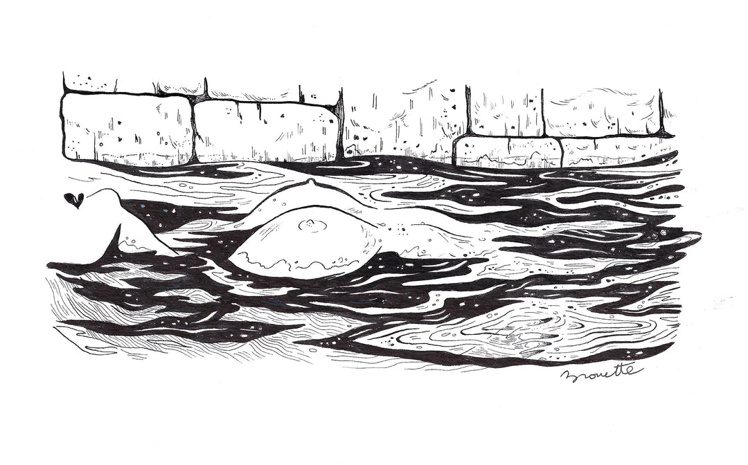Brouette Hurlante - Flotter - Illustration originale