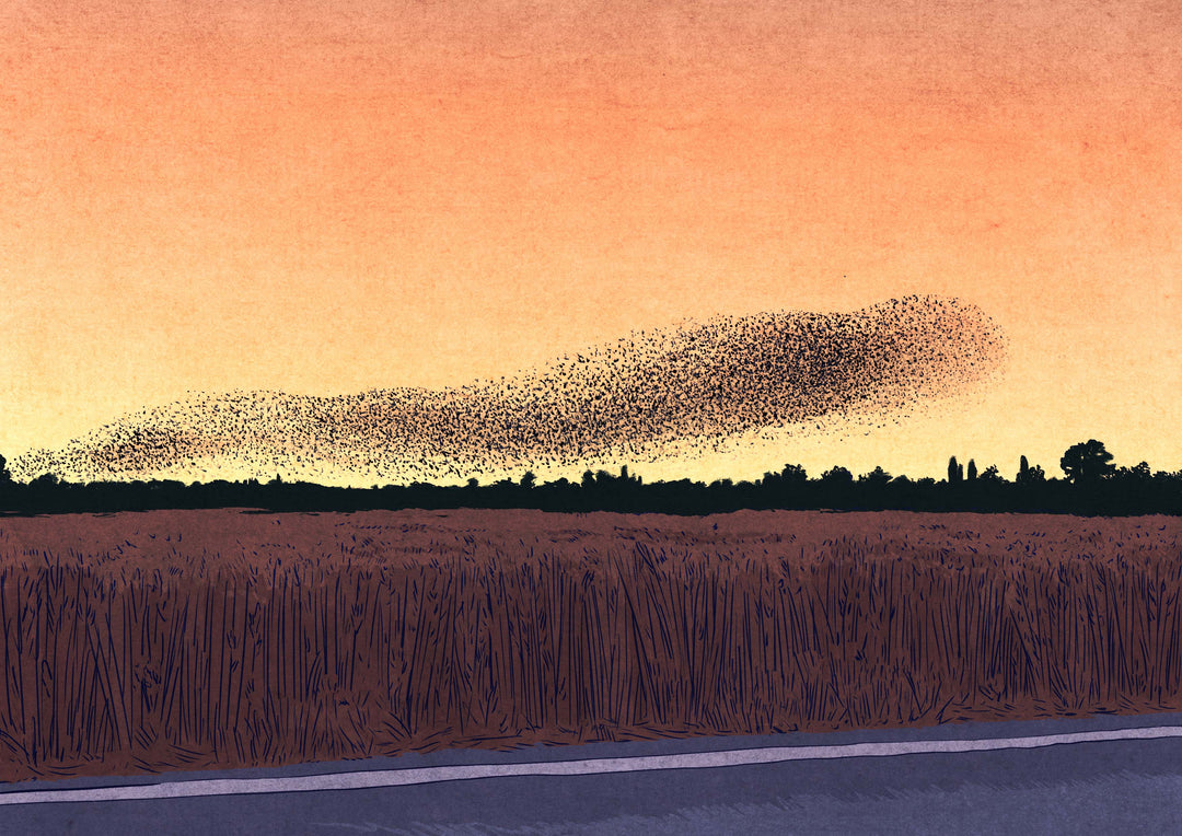 Victor Pellet - Murmuration