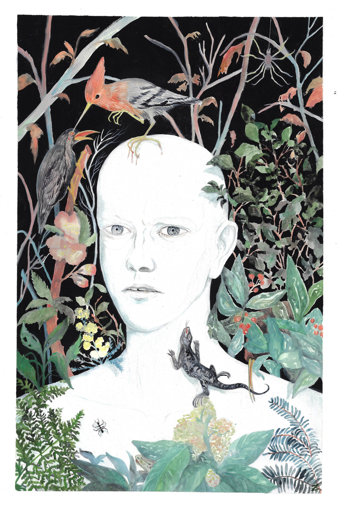 Lisa Zordan - « Le lézard »  - Illustration originale